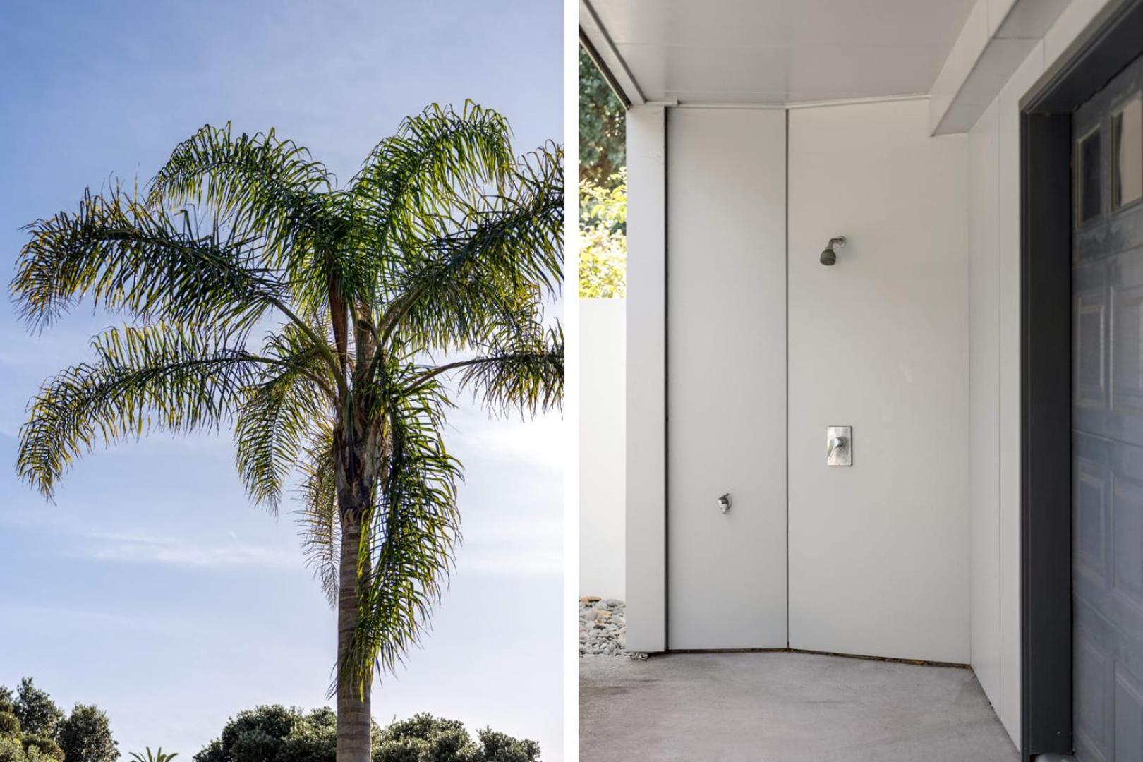 Pacific Escape - Downtown, Beach & Sea Views Mount Maunganui Exterior photo